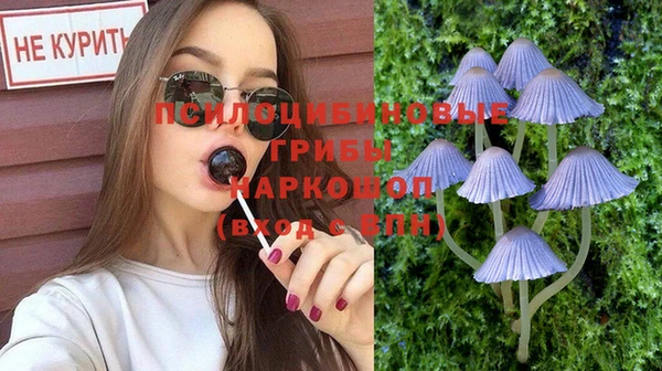 твердый Балахна